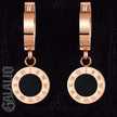 Stainless Steel Necklace & Earring Set