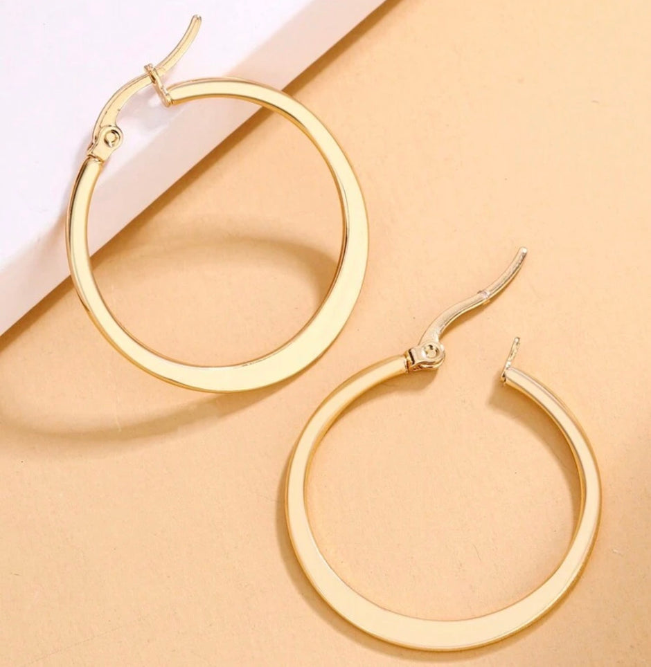 1Pair Stainless Steel Simple & Minimalist & Unique Earring