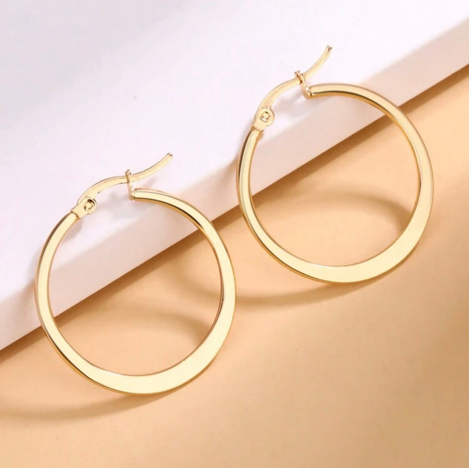 1Pair Stainless Steel Simple & Minimalist & Unique Earring