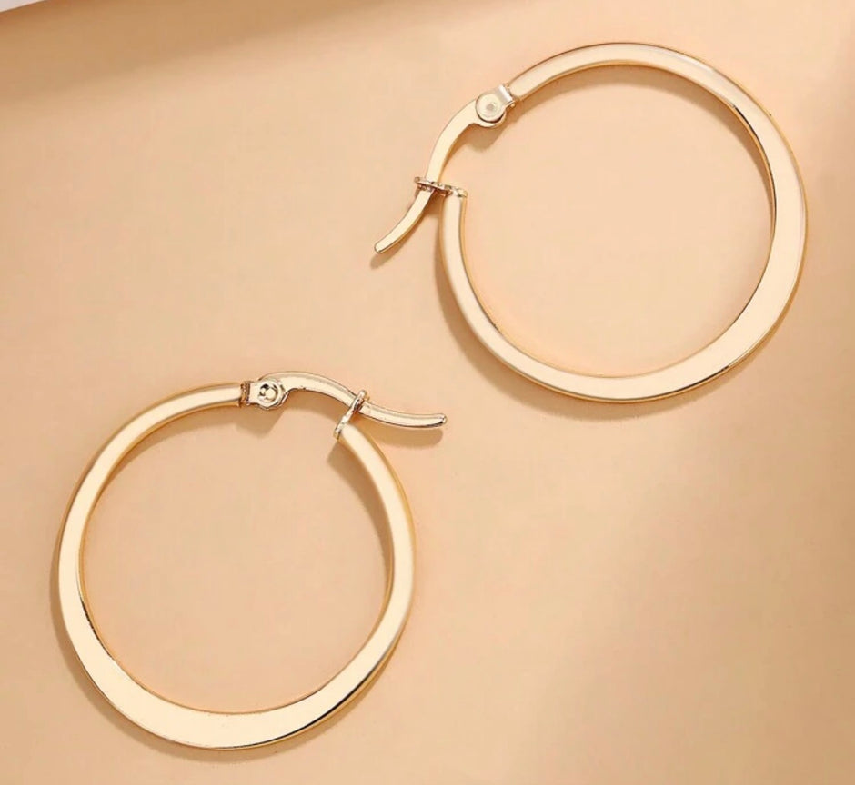 1Pair Stainless Steel Simple & Minimalist & Unique Earring