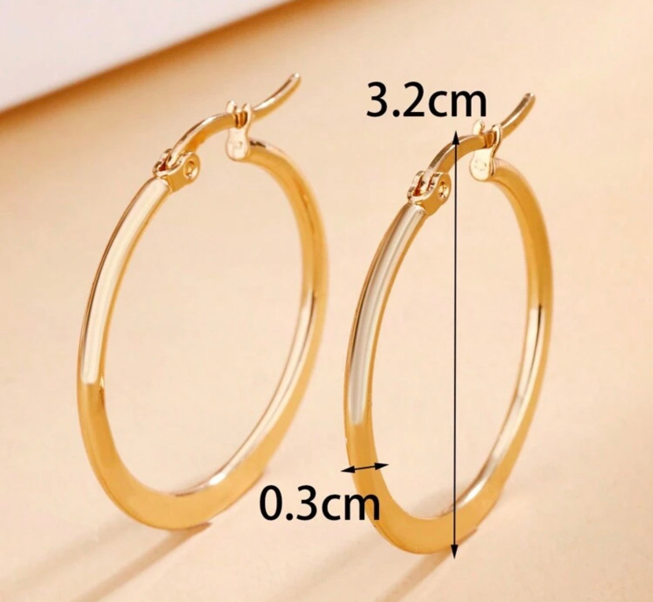 1Pair Stainless Steel Simple & Minimalist & Unique Earring