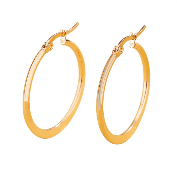 1Pair Stainless Steel Simple & Minimalist & Unique Earring