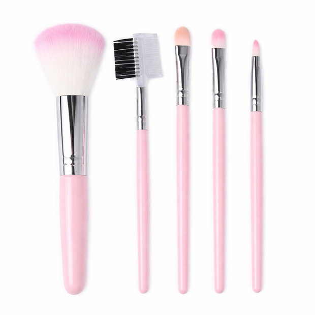 5Pcs/Set Pink Makeup Brushes