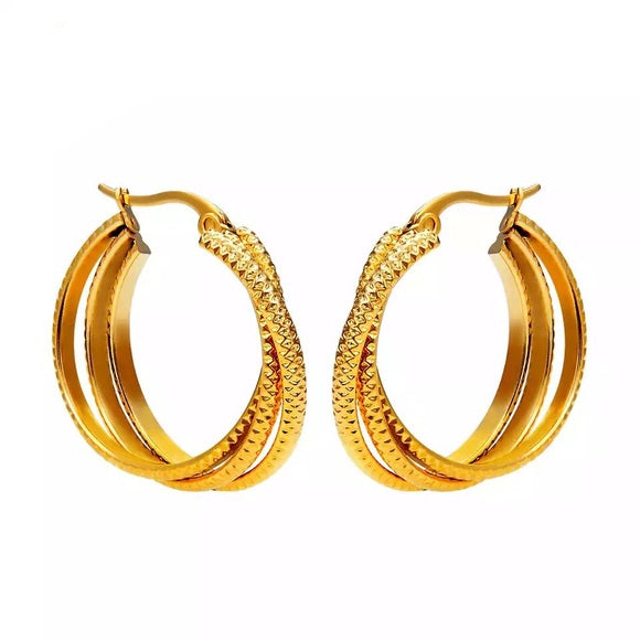 Stainless Steel Hoop Circle Twisted Earrings